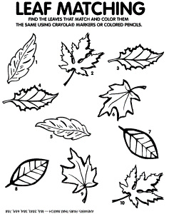 Apple Leaves Coloring Page - Coloring Pages For All Ages