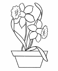 Daffodil in Pottery Coloring Page - NetArt