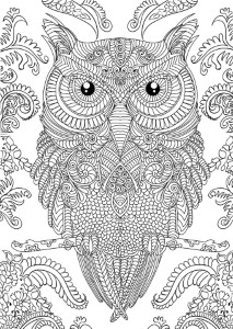 Printable 30 Adult Coloring Pages Owl 9161 - Adult Coloring Book ...