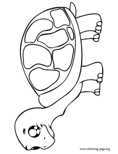 Turtles - A cute baby tortoise coloring page