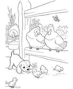 Farm Animal Coloring Pages | Printable Chickens Coloring Page Baby