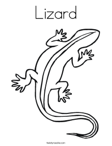 Lizard Coloring Page - Twisty Noodle