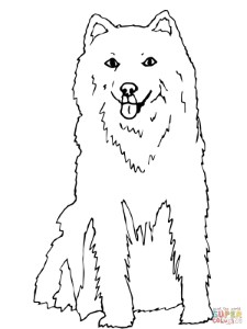 Coloring Pages Of Husky Printable Coloring Pages Alaskan Husky ...