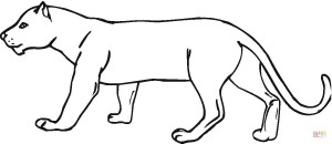 Panther coloring page | Free Printable Coloring Pages