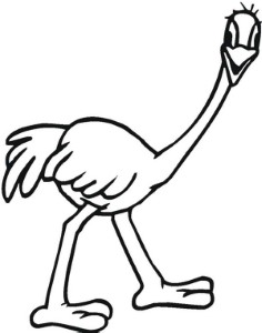 A Cartoon Drawing of Australia Emu on Australia Day Coloring Page ...