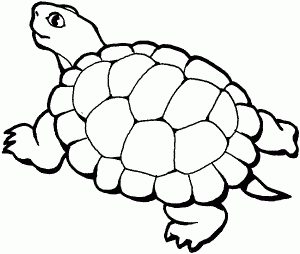 Coloring Book Pictures Of Animals | Animal Coloring Pages | Kids