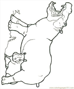 Hippopotamuses Colouring Pages (page 3)