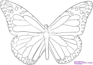 How to Draw a Butterfly, Step by Step, Butterflies, Animals, FREE
