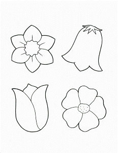 Flowers Coloring Sheet | HelloColoring.com | Coloring Pages