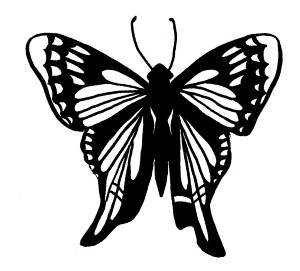 FREE Butterfly Coloring Pages: Tailed Skipper Butterfly
