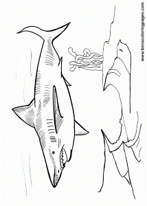 Coloring Pages: megalodon shark coloring pages Megalodon Shark