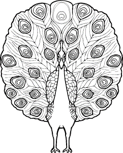 Peacock Coloring Pages for Kids- Free Printable Coloring Sheets