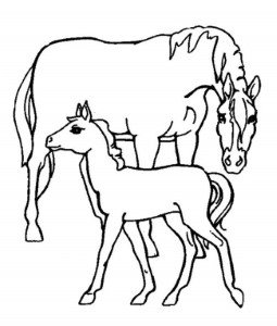Horse Farm Animal Coloring Pages