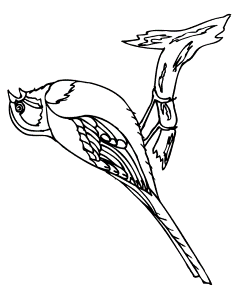 Printable coloring pages birds Mike Folkerth - King of Simple