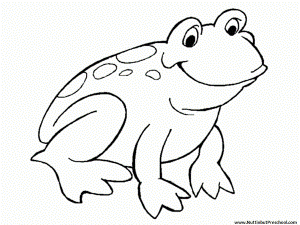 Frog Coloring Page or Art Pattern Nuttin