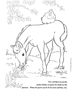 Horse coloring pictures - Farm Animals 018
