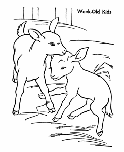 farm animal coloring pages goat kids page and activity