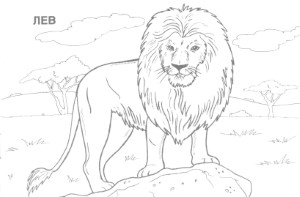 African Animals Coloring Pages Printable - Coloring
