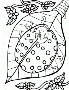 INSECT coloring pages - Grasshopper