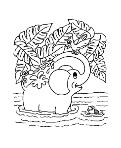 Evergreen Jungle Coloring Pages