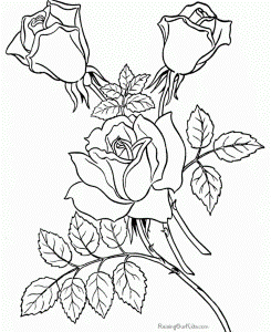 Flowers Coloring Pages For Adults | Nucoloring.xyz