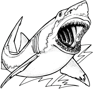 Free Printable Coloring Pages Sharks - High Quality Coloring Pages
