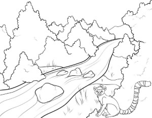 river and animal nature coloring page | River drawing, Water drawing, Cool  art drawings