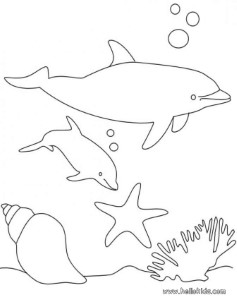 DOLPHIN coloring pages - Dolphin and shell