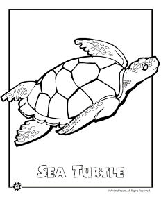 Ocean Animals Coloring Pages Printable Images & Pictures - Becuo
