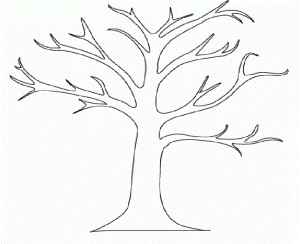 Beech Tree Coloring Page Drawing And Coloring For Kids 292365 Tree