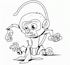 Beautiful Baby Monkey Coloring Page Source Rh - deColoring