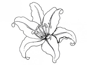 The Parts Of Plant Coloring Page Label You Know Id 88255 27192