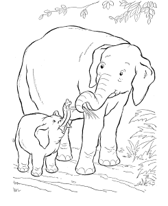 Elephant Coloring Pages Printable - Free Printable Coloring Pages