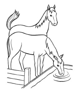 Online coloring pages Coloring page Horses drink water horse, Download  print coloring page.