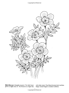 Favorite Wildflowers Coloring Book (Dover Nature Coloring ...