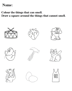 five senses kindergarten nana 24395 5 senses coloring pages ...