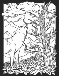 Childhood Education: Nocturnal Animals Coloring Pages Free