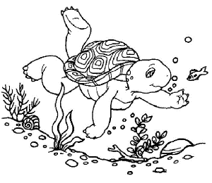 Turtle 436 Views Franklin The Turtle Coloring Pages 36 By Admin On