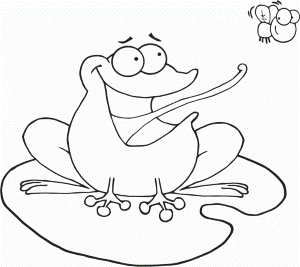 Frog Cacthing Fly Coloring Page - Free & Printable Coloring Pages