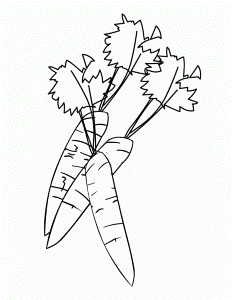 great Carrot coloring pages for kids | Best Coloring Pages