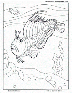 Printable Ocean Animals Coloring Pages | Animal Coloring Pages for