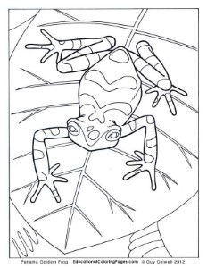 frog coloring pages, frog colouring | coloring pages for all ages | P…