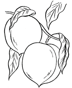 Thanksgiving Dinner Coloring Page Sheets - Peaches in the tree