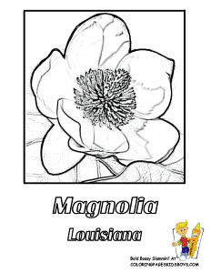 Coloring Flower Page | Top Ten Popular Flowers | Free |Tropical