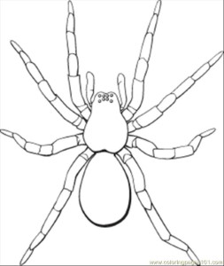 Black And White Spider Coloring Page - Coloring Pages For All Ages