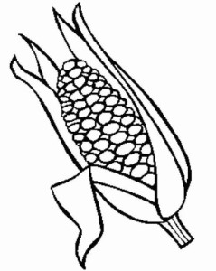 Coloring Pictures Of Corn On The Cob - Coloring Style Pages