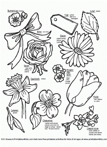 Botanical flowers with names : Printables for Kids – free word