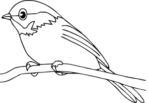 Bird Coloring Page | Coloring Pages
