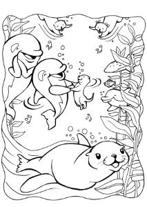 Seal-coloring-5 | Free Coloring Page Site