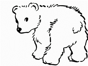 Baby Polar Bear Coloring Page | Kids Play Color